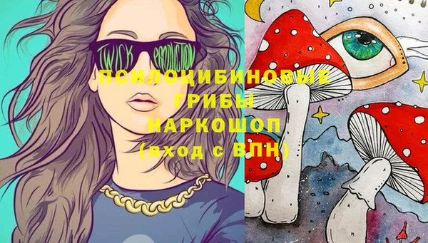 гашик Абаза