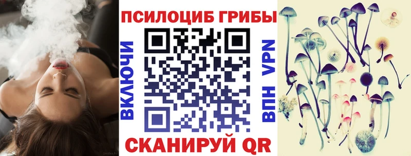 как найти закладки  Людиново  Галлюциногенные грибы мицелий 